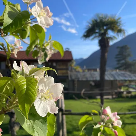 Appartamento Egghof Im Weingut *