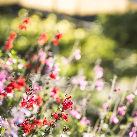 Apartmán Egghof Im Weingut Merano