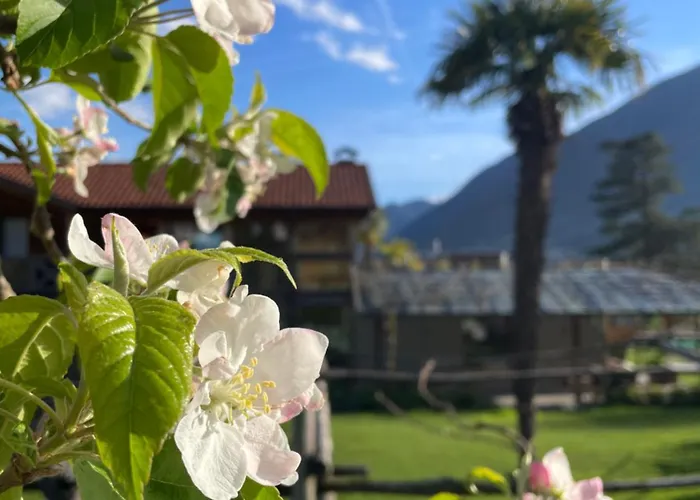 Apartmán Egghof Im Weingut *