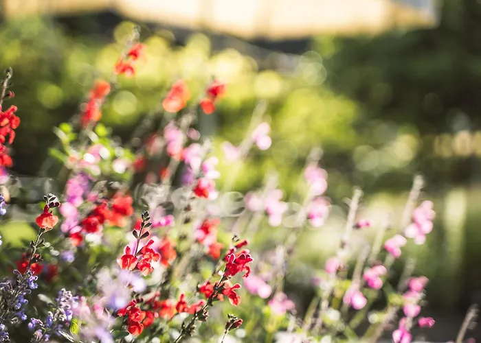 Apartment Egghof Im Weingut Meran