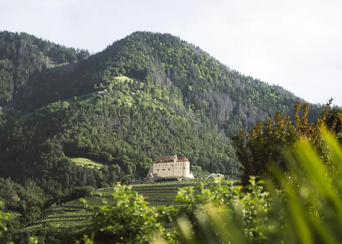 公寓 Egghof Im Weingut 梅拉诺